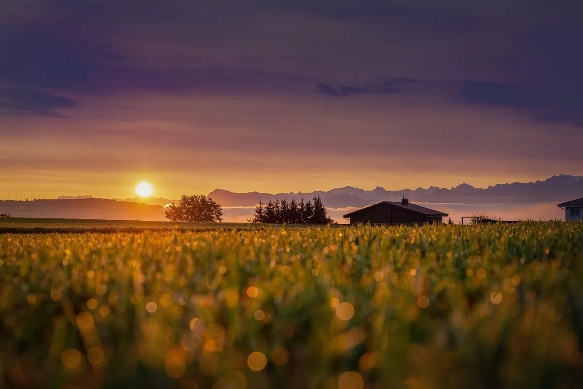 sun, sunrise, field, cabin, house, hut, morning, sky, mountains, switzerland, alpine, nature, landscape, sunrise, sunrise, sunrise, house, house, house, morning